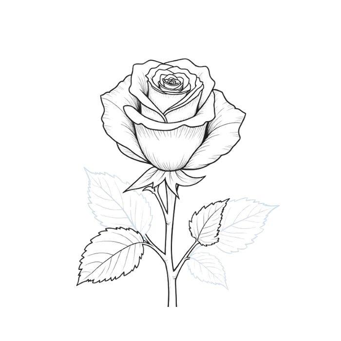 tranh tô màu hoa hồng 15