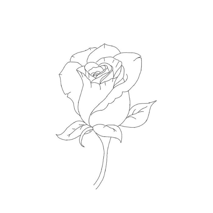tranh tô màu hoa hồng 17