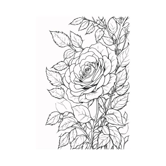 tranh tô màu hoa hồng 25