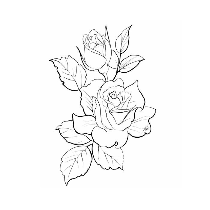 tranh tô màu hoa hồng 29