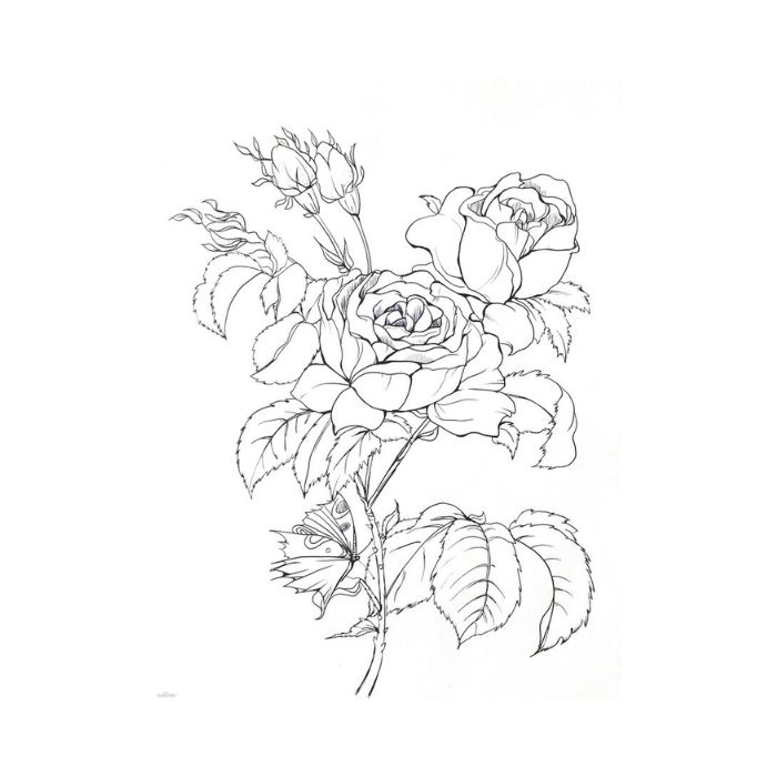 tranh tô màu hoa hồng 32