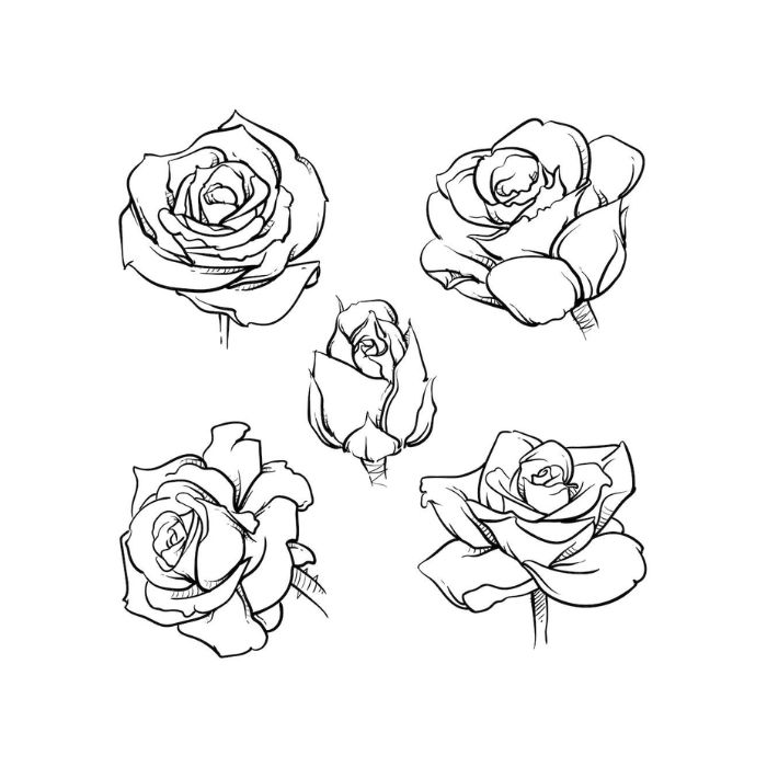 tranh tô màu hoa hồng 36