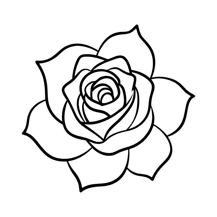 tranh tô màu hoa hồng 8